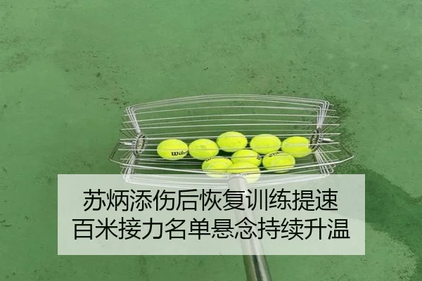 苏炳添伤后恢复训练提速 百米接力名单悬念持续升温